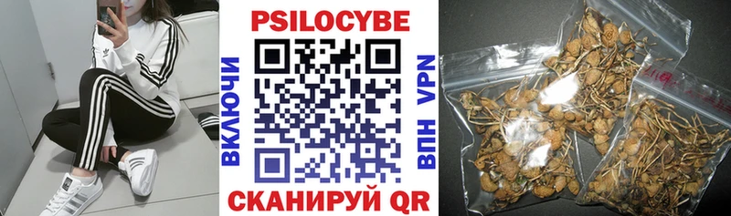 blacksprut ONION  как найти   Змеиногорск  Галлюциногенные грибы мухоморы 